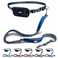 Black Rhino - Premium Hands Free Dog Leash for Running Walking Jogging &amp; Hiking - Adjustable Length Dual Handle Bungee Leash Medium&ndash;Large Dogs Neoprene Padded Handles &ndash; Free Running Pouch Blue/Gr