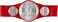 WWE RAW Tag Team Championship Title