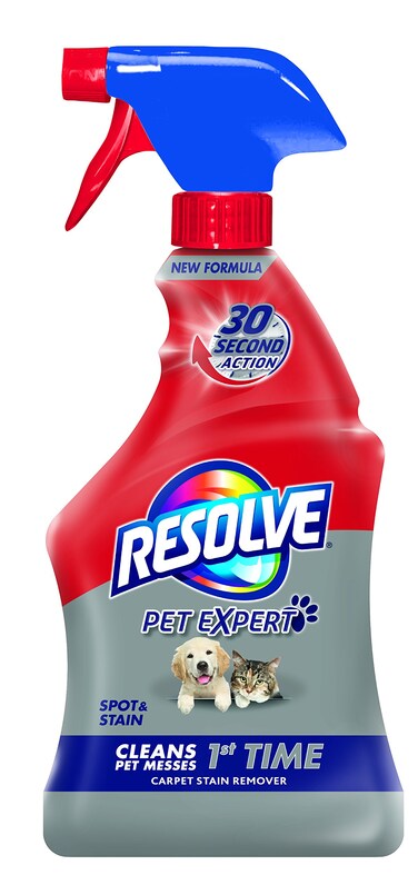 Resolve Pet Stain &amp; Odor Carpet Cleaner, 22 oz