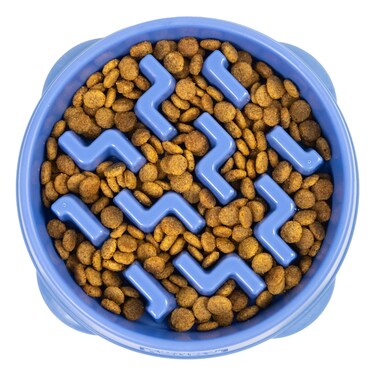 Outward Hound Fun Feeder Slo Bowl, Medium Slow Feeder Dog Bowl, 2 Cups, Blue