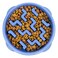 Outward Hound Fun Feeder Slo Bowl, Medium Slow Feeder Dog Bowl, 2 Cups, Blue