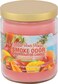 Smoke Odor Exterminator 13oz Jar Candle, Maui Wowie Mango