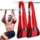 DMoose Fitness Hanging Ab Straps for Pull Up Bar &amp; Core Strength Training - Thick Padded Arm Strap for Ab Swing with 2 Rust-Resistant Carabiners - Pull Up Straps for Abs Workout at Home and Gym (Pair)