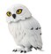Harry Potter Hedwig Interactive Creature, Official Sound-Activated Hedwig Owl, Snow Owl&rsquo;S Head Rotates &amp; Makes 12 Different Owl Sounds!