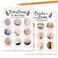 2 in 1 Beer Belly or Pregnant Bump Fun Baby Shower Game, 30 Cards for Each Game with Answer Keys, Gender Neutral Boy or Girl, Games Favors, Funny Activity Question at Reveal Bundle