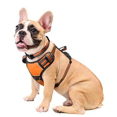 WINSEE Dog Harness No Pull, Pet Harnesses with Dog Collar, Adjustable Reflective Oxford Outdoor Vest, Front/Back Leash Clips for Small, Medium, Large, Extra Large Dogs, Easy Control Handle for Walking
