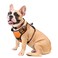 WINSEE Dog Harness No Pull, Pet Harnesses with Dog Collar, Adjustable Reflective Oxford Outdoor Vest, Front/Back Leash Clips for Small, Medium, Large, Extra Large Dogs, Easy Control Handle for Walking
