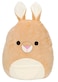 Squishmallow Kellytoy 8 Inch Keely The Kangaroo, New Assortment 3- Super Soft Plush Toy Animal Pillow Pal Pillow Buddy Stuffed Animal Birthday Gift Holiday