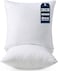 Utopia Bedding Throw Pillows Insert (Pack of 2, White) - 26 x 26 Inches Bed and Couch Pillows - Indoor Decorative Pillow