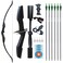D&amp;Q Archery Bow and Arrow Set for Adults Beginner Teenagers Youth, Takedown Recurve Bow 20lbs 30lbs 40lbs Left and Right Handed Bow, Recurve Bow Set for Outdoor Target Practice