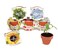Buzzy Seeds Terracotta Mini Grow Pots   Herb, Plant, Flower Starter Kit for Kids &amp; Adults   Assorted 6-Pack, Daydream Collection   Guaranteed to Grow   Best Indoor-Outdoor Gardening Gift