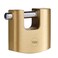 Yale Y114B/60/114/1 Brass Shutter Padlock (60mm) &ndash; Outdoor Lock with Broader Locking for Sheds, Gates, Shutters - 3 Keys &ndash; HIGH Security