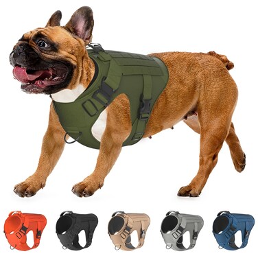 Adjustable Tactical Dog Harness &amp; Leash Set - No-Pull MOLLE Vest with Handle, Front Leash Clip, Hook &amp; Patch - Perfect for Small to Large Dogs (L: Neck 18"-24", Chest 28"-35"), Army Green