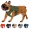 Adjustable Tactical Dog Harness &amp; Leash Set - No-Pull MOLLE Vest with Handle, Front Leash Clip, Hook &amp; Patch - Perfect for Small to Large Dogs (L: Neck 18"-24", Chest 28"-35"), Army Green
