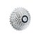 Bibike 8/9/10/11 Speed Cassette 11-25T/11-28T/11-32T/11-36T