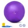 Harrison Howard Howdy Bally Mega Horse Play Ball Anti-Burst Giant Play Ball for Horses - 22 Inch Royal Purple