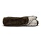 Pet Parents Pawtect Premium Waterproof Cat &amp; Dog Blanket with WickQuick &amp; Sherpup Technology, Puppy &amp; Cat Blanket, Choc 24x32