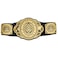 WWE GRT40 Live Action Intercontinental Championship, Multicolor, 20.3 cm*1.5 cm*100.3 cm