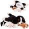 PixieCrush Dog Stuffed Animals - Bernese Mommy with 4 Puppies in Her Tummy - Huggable and Fluffy Dog Plushies for Imaginative Play - Plush Toys Suitable for Kids 3 Years Old and Above - 5" x 10" x 8