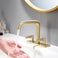 Bathroom Faucet 2 Handles, 4inch Centerset Brass Faucet for Bathroom Sink, Vanity Faucet with Drain Assembly and Supply Hoses, Brushed Gold, 110102-BG