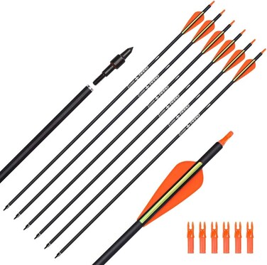 Carbon Arrow Hunting Arrows with 100 Grain Tip and Removable Tips for Archery Compound &amp; Recurve &amp; Traditional Bow Practice Shooting Targeting