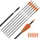 Carbon Arrow Hunting Arrows with 100 Grain Tip and Removable Tips for Archery Compound &amp; Recurve &amp; Traditional Bow Practice Shooting Targeting