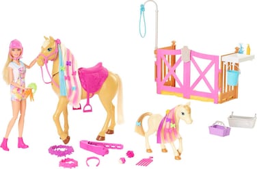 Barbie Groom 'n Care Horse Playset with Blond Doll, 2 Nodding Horses &amp; 20+ Accessories, Style Color-Change Manes with Tool &amp; Clips