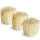 Natural Shower Loofah Sponge, Bath Exfoliating Loofa Body Scrubber, 5.5 &ldquo;Soft and Easy Foaming Spa Lufa Sponges (3 Pack)