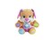 Fisher-Price FPP63 Toy, Multicoloured