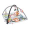 Fisher-Price 3-in-1 Music, Glow and Grow Gym, Infant Activity Play mat for Tummy time and take Along