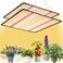 Grow Light, (2-Pack) 200W LED Grow Lights for Indoor Plants Full Spectrum Plant Growing Lamps for Seedling Veg and Bloom
