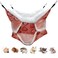 Triple-Layer Sugar Glider Hammock, Small Pet Cage Hammock, Sugar Glider Cage Accessories Hamster Bedding Small Animals Bed for Chinchilla Parrot Ferrets Rat Playing Sleeping (A. Strawberry)