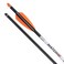 Wicked Ridge by TenPoint - Match 400 - Pack of Six - 20&rdquo; Carbon Crossbow Arrows, 400-Grains - with Alpha-Nock HP