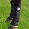 Harrison Howard Horse Fly Boots Summer Protection with Fleece Trim to Eliminate Rubbing Comfortable and Ventilating Mesh Leg Guards Sold in Pair Classic Black M