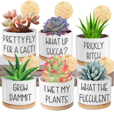 Succulent Pots 6 Pack, 3.15&rdquo; Ceramic Funny Succulent Planters with Drainage and Bamboo Tray, Small Plant Pots with Plant Labels for Indoor Outdoor Plant, Birthday Gifts for Women - Plants Not Included