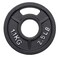 Signature Fitness Cast Iron Plate Weight Plate for Strength Training and Weightlifting, Olympic or Standard