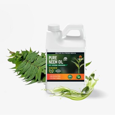 Yield Titan's 100% Pure Cold Pressed Concentrated Neem Oil for Indoor and Outdoor Plants and Vegetable (16OZ)