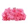 Women Elegant Evening Purse, Small Floral Clutch Bag with Detachable Chain for Wedding, Party, Prom