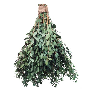 Large Dried Eucalyptus Stems - Real Preserved Fresh Eucalyptus Plant for Arrangement, Wedding, Home D&eacute;cor,Shower, 30+ PCS 17'' 8oz(Natural Green)