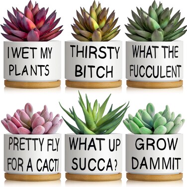 6 Set Succulent Gifts Flower Cactus Planter Gifts Plant Gifts Cactus Flower Ceramic Funny Planter Pots Succulent Planters with Drainage Hole and Bamboo Saucers for Women Men Christmas Party Favor