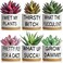 6 Set Succulent Gifts Flower Cactus Planter Gifts Plant Gifts Cactus Flower Ceramic Funny Planter Pots Succulent Planters with Drainage Hole and Bamboo Saucers for Women Men Christmas Party Favor
