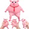 Liliful Pig Squeeze Stretch Pink Pig Toy Novelty Funny Cute Squeeze Pig Animal Stress Relief Toys for Anxiety for Adults Stress Relief Gifts for Women Men Fidget Decompress