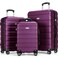 Luggage Sets Hardside Lightweight Suitcase with Spinner Wheels TSA Lock, 3-Piece Set (20/24/28), Purple