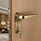 LAPO Premium Mortise Door Locks for Main Door, Door Lock Handle Set with Brass Lock Body Set with 3 Key, Main Door Locks for Home,Office,Hotel   Antique Finish   3 Years Warranty Ro-276