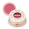 Paul &amp; Joe Gel Blush, Bright and Buildable Blush Makeup, Water-Based Gel Makeup Blush with Hydrating Oils for Dewy, Radiant Finish, Pink Rose Cheek Tint, 04 Raspberry Coulis, 0.71 oz