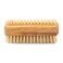 Natural Nail Brush - Eco-Friendly Double-Sided Nail Cleaning Brush with Firm and Soft Cactus Bristles for Manicure and Pedicure (Olive Wood (R))