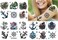 18 Sheets Temporary Tattoo Women Adults Octopus Party Favors Mermaid Body Face Sleeve Anchors Fake Tattoos
