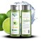 NaturVital Unisex Natural, Plant-based Lime &amp; Witch Hazel Degrease Hair Shampoo for Greasy, Oily Hair Types, Keeps Hair Cleaner Longer, Cruelty-Free &amp; Paraben-Free