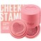 Kaja Blush - Cheeky Stamp   Gift, 7 Shades, Buildable &amp; Blendable Shade with Heart-shaped Applicator, Rosy Finish, 01 Coy, 0.17 Oz
