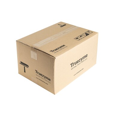 Active Enzyme Volume and Scalp Shampoo 300 ml X 35EA I 10.1 fl. oz. X 35EA   Korean Premium Haircare with Fermented Botanical Extract